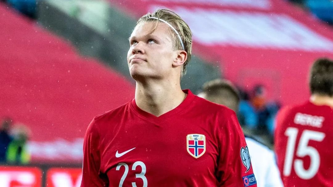 高光更具参 高光更具参