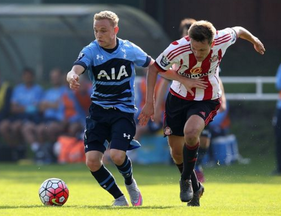 双翼的作用 双翼的作用