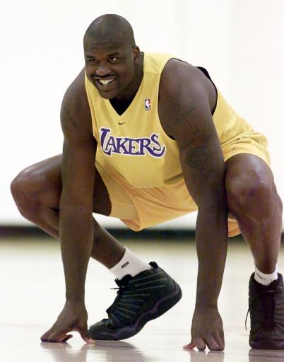 背外侧前额 背外侧前额